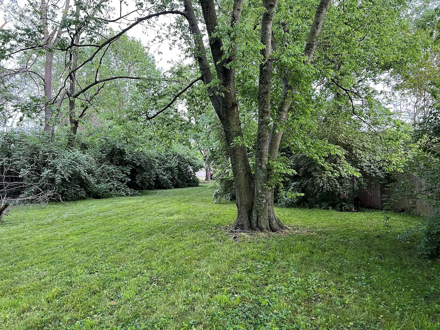 6334 Patton Ave, Unit A — Photo 4