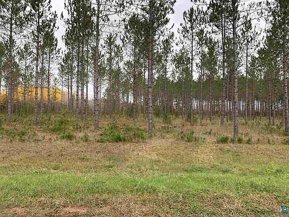 2nd image of xxx Cathedral Pines Dr