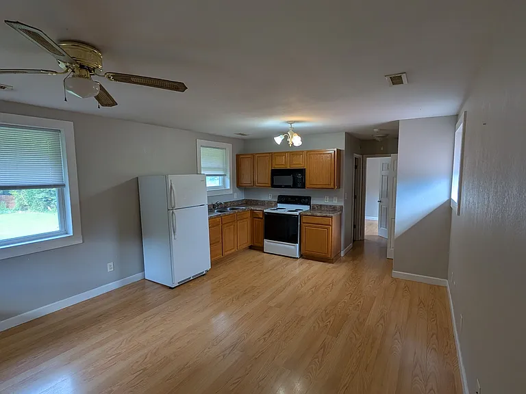 207 US Highway 321 #SUITE2APARTMENT — Photo 3