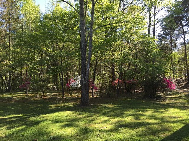 1st image of 711 Wyndale Dr