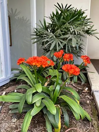 Lovely Gardens