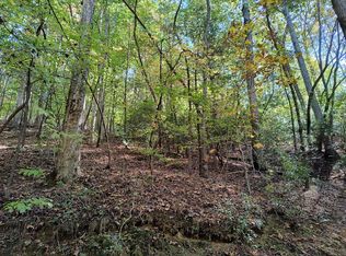 334 Cold Stream Rd, Ellijay, GA