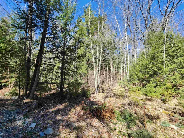 Lot 153 Carr Road, Haverhill, NH 03785
