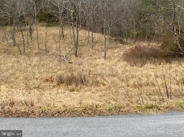 354 Turkey Ridge Rd, Upper Tract, WV 26866