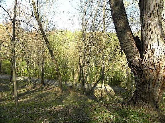 5th image of N2750 Patrie Dr