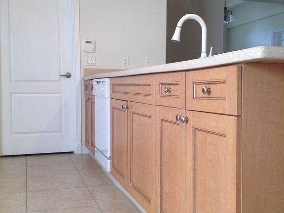 Kitchen Counter Top and Sink