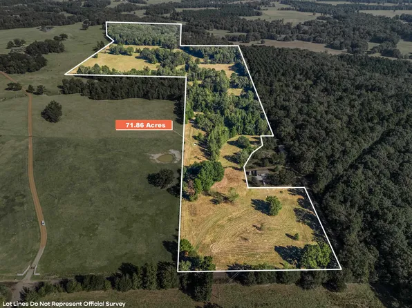 Giraffe Rd, Gilmer, TX 75644