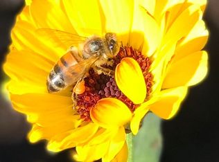 26225 W Avenue C13, Lancaster, CA