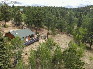 258 Spruce Creek Rd, Divide, CO 80814
