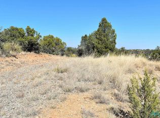 12 Hereford Dr, Silver City, NM 88061