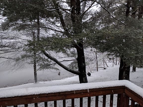 3rd image of 1528 Marlborough Ct