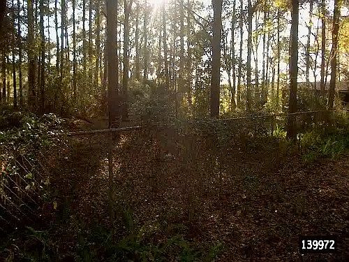 4th image of 116 NE County Road 234