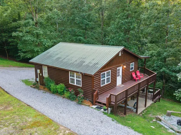 97 Cowboy Way, Mineral Bluff, GA 30559
