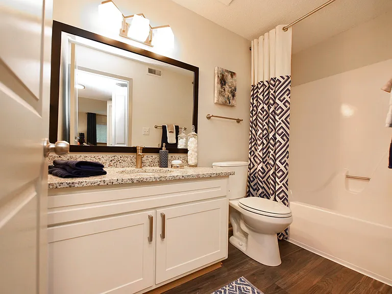 Bathroom + Granite Counters