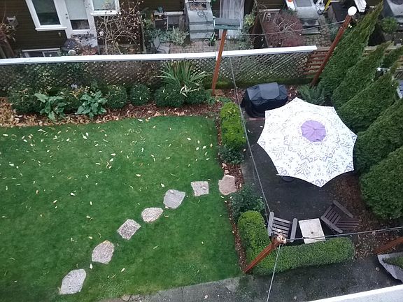 Backyard from Deck