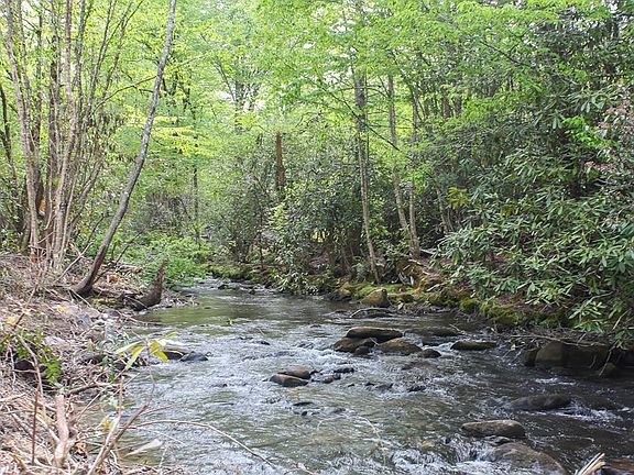 4th image of 795 Porterfield Gap Road