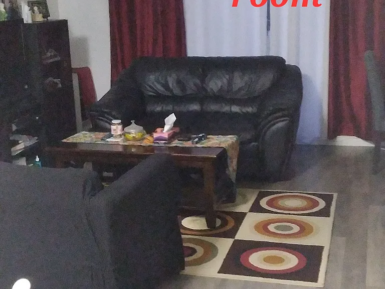 shared living area
