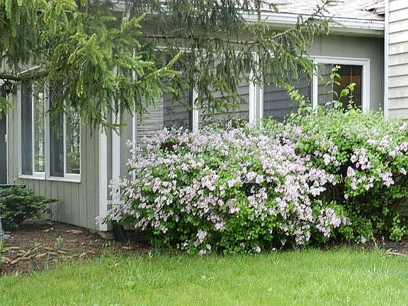 5th image of 1265 Chanteloup Dr