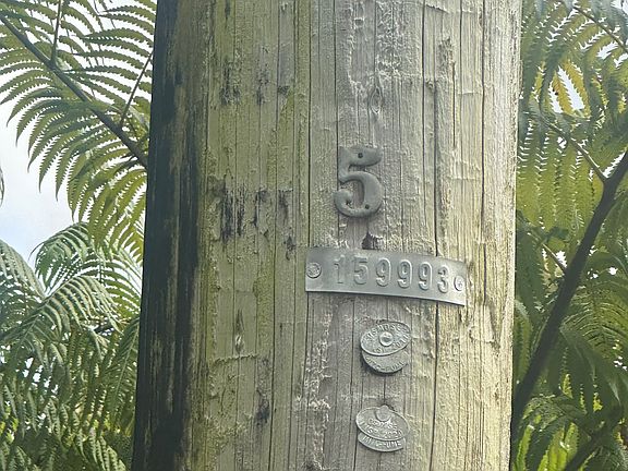 2nd image of 18-1272 Kauai St Lot 5