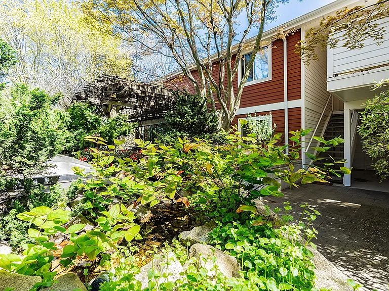 Madrona Court — Photo 13