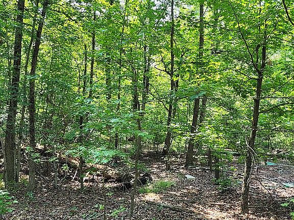 2nd image of 0 Jaybee Ln Lot 27