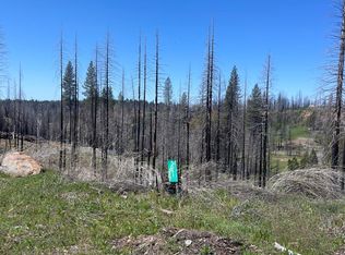 5011 Storybook Ct, Grizzly Flats, CA 95636