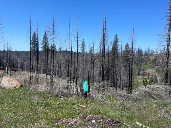 5011 Storybook Ct, Grizzly Flats, CA 95636