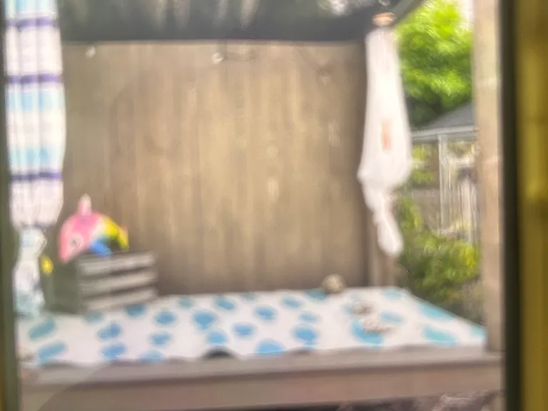 Paloma in my Backyard lounge do yoga