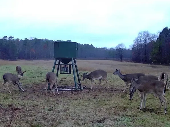 6536 Hudson Crk, Smithville, OK 74957