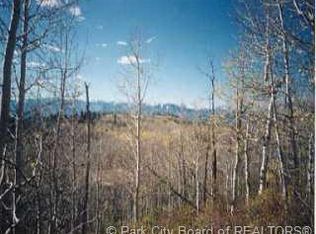 D 163 Forest Mdws #D-163, Coalville, UT 84017