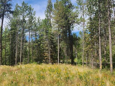 12874 Willow Rd, Donnelly, ID, 83615