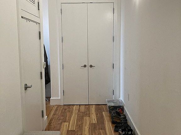 Hallway Closet in entrance