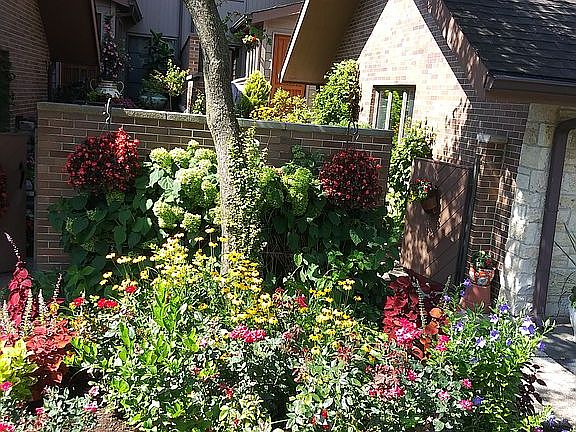 Common area garden