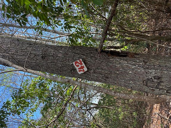 4th image of 79 Forest Edge Dr