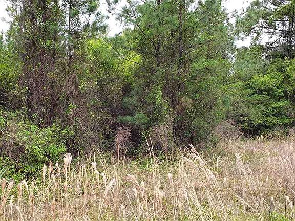 5th image of 246 Live Oak Blvd