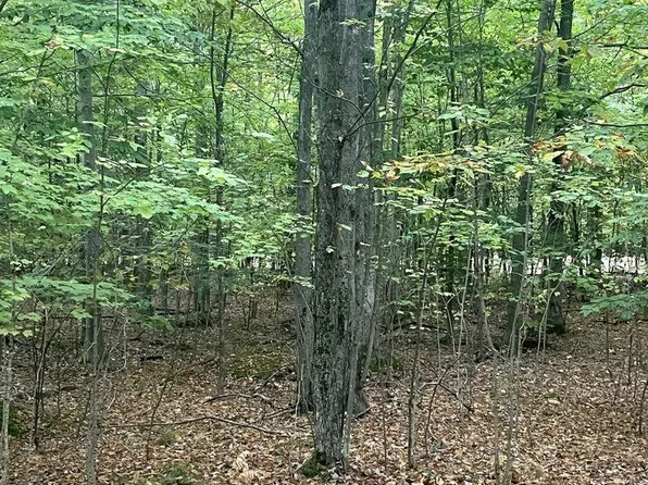 Ironwood Dr, Cheboygan, MI 49721