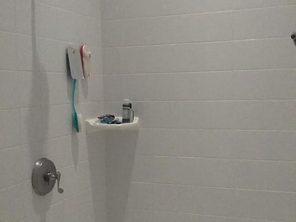 master bathroom shower