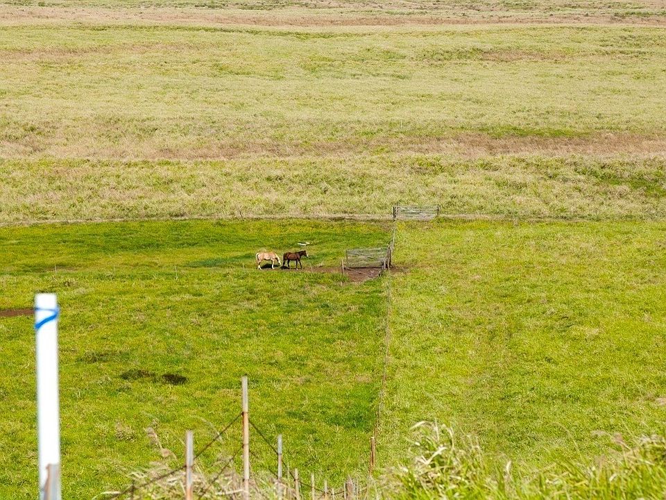 39 Kaalualu Rd, Naalehu, HI 96772 MLS 669576 Zillow