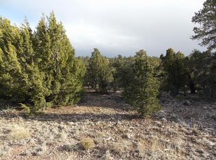 3456 Carefree Rd, Heber, AZ 85928