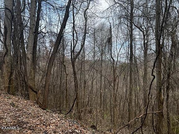 5th image of Mountain Lake Dr