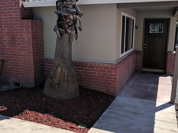 3rd image of 197 Sierra Vista Ave