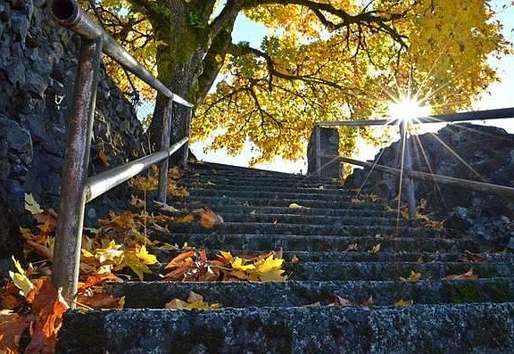 Your daily walk to the river!