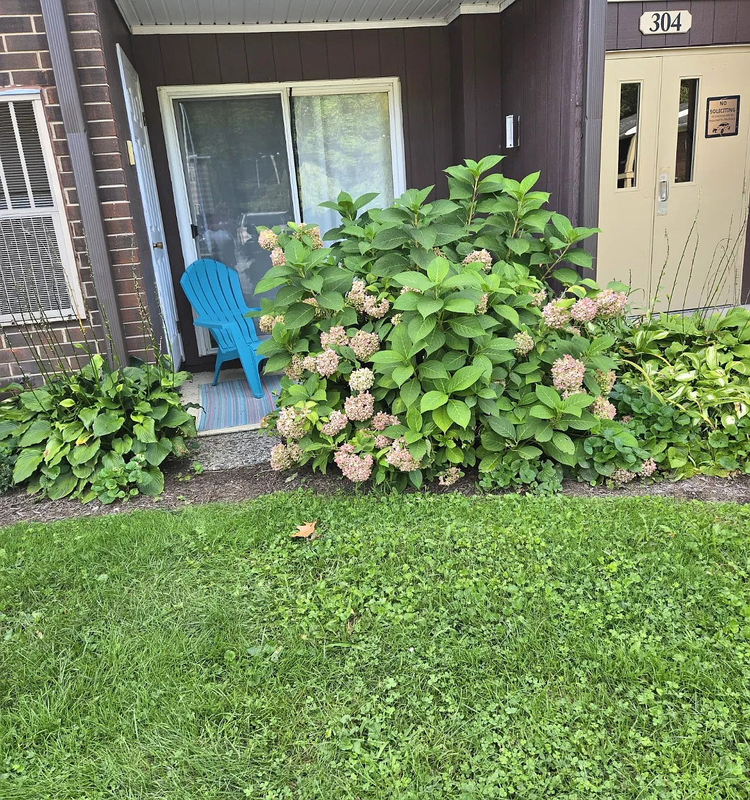 2 bed, 851 sqft, $1,300 — Photo 2