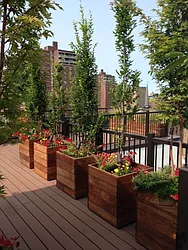 Rented by Harmonycity Corp.