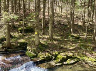 0 Huckleberry Brook Rd, Margaretville, NY 12455