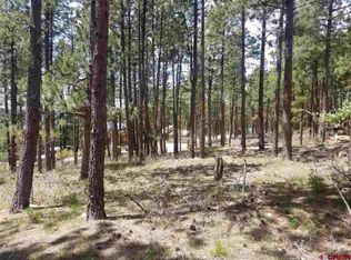 973 Blue Ridge Dr, Bayfield, CO 81122