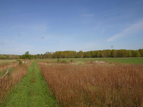 3rd image of M 33 Hwy