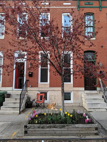 30 E Fort Ave Photo 1