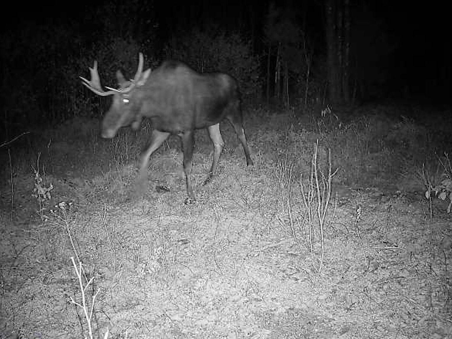 Lot145 Bangor Road, Stockton Springs, ME 04981 MLS 1583782 Zillow