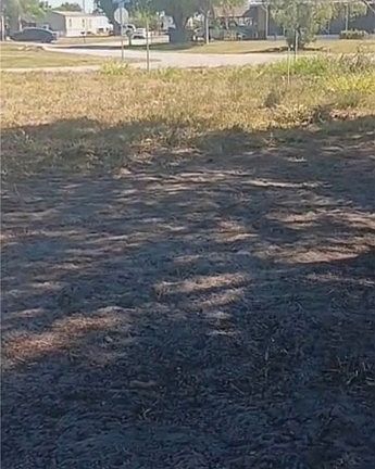 3rd image of 919 Virginia Ave